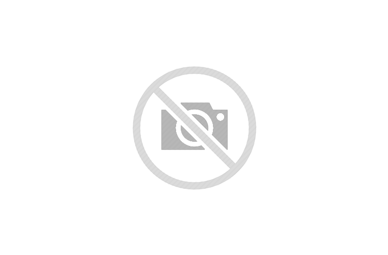 2021 GRAND DESIGN REFLECTION 150 SERIES 295RL